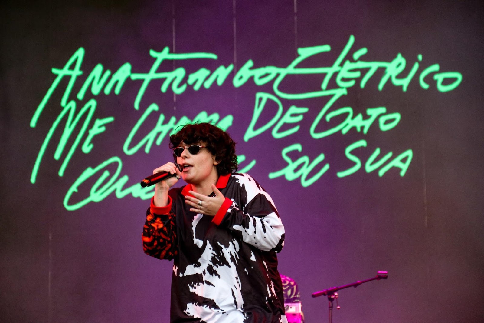 “Não me considero mais uma coisa só”: Ana Frango Elétrico entre a música e a estética