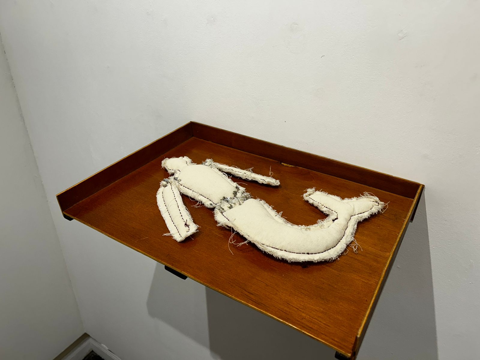 Exposição na Fundação Cultural Badesc reflete sobre arte, vida, identidade e afetos
